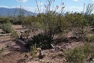 3644 W Vista Del Viejo, Bisbee, AZ 85603 - Photo 49
