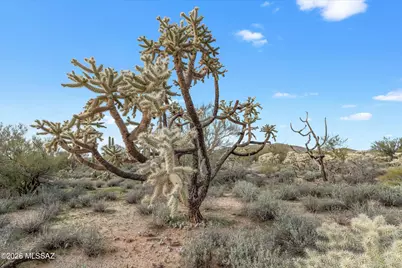 Tbd E Park Link Drive, Tucson, AZ 85739 - Photo 11