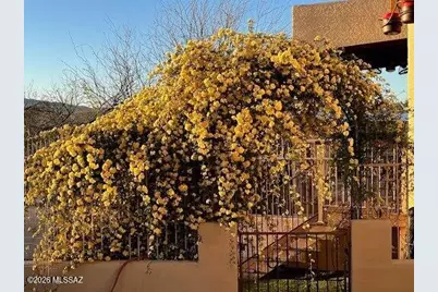 2330 N Bonanza Avenue, Tucson, AZ 85749 - Photo 45