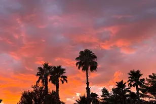 37547 S Canyon Side Dr, Saddlebrooke, AZ 85739 - Photo 47