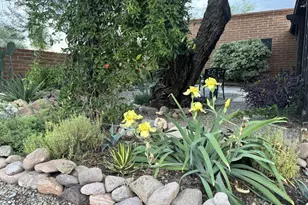 2347 Camino Esplendido, Tubac, AZ 85646 - Photo 37