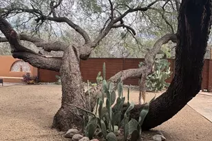 2347 Camino Esplendido, Tubac, AZ 85646 - Photo 39