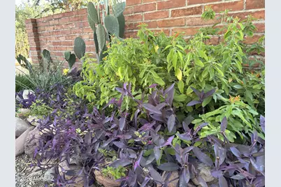 2347 Camino Esplendido, Tubac, AZ 85646 - Photo 43