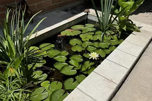 2347 Camino Esplendido, Tubac, AZ 85646 - Photo 33