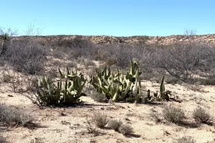 2484 W Patton St, Saint David, AZ 85630 - Photo 43