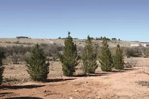 825 N Diana Dr, Benson, AZ 85602 - Photo 35