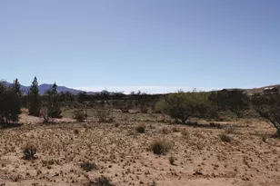 825 N Diana Dr, Benson, AZ 85602 - Photo 29