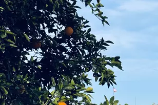 30239 E Little Crow Rd, Marana, AZ 85658 - Photo 29