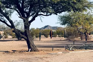 30239 E Little Crow Rd, Marana, AZ 85658 - Photo 29