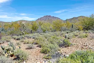 7706 W Copper Nugget Dr, Tucson, AZ 85735 - Photo 5