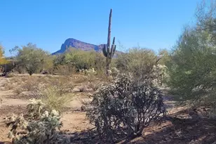 7214 N Gecko Run Trail, Tucson, AZ 85743 - Photo 1