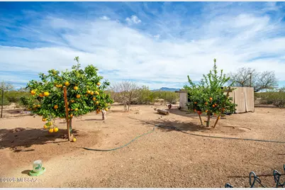 15330 W Magee Road, Marana, AZ 85653 - Photo 49