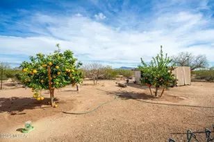 15330 W Magee Rd, Marana, AZ 85653 - Photo 49