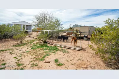 15330 W Magee Road, Marana, AZ 85653 - Photo 7
