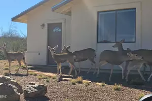 127 N Gila Dr, Tombstone, AZ 85638 - Photo 3