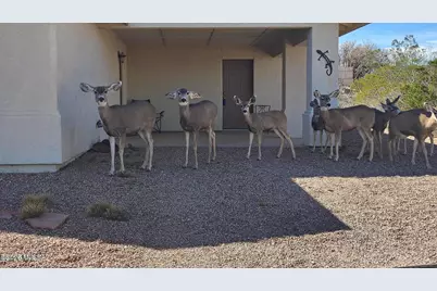 127 N Gila Drive, Tombstone, AZ 85638 - Photo 17