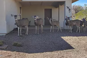 127 N Gila Dr, Tombstone, AZ 85638 - Photo 17