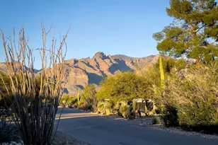 5405 N Estelle Dr, Tucson, AZ 85718 - Photo 41