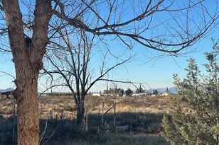 1171 E Desert Rose Dr, Pearce, AZ 85625 - Photo 13