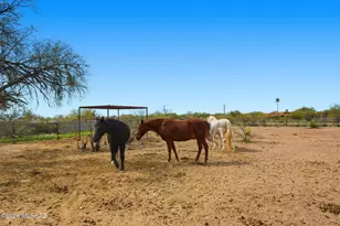 3121 N Conestoga Ave, Tucson, AZ 85749 - Photo 1