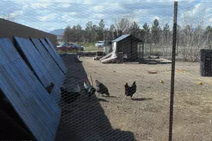 2578 W Willow Tree Ln, Willcox, AZ 85643 - Photo 39