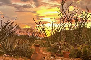 17930 S Camino Rancho Del Valle, Vail, AZ 85641 - Photo 45