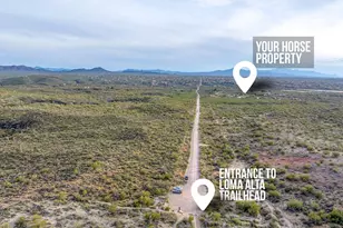 14181 E Reata Pozo, Tucson, AZ 85747 - Photo 49