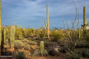 3809 W Camino Nuestro, Tucson, AZ 85745 - Photo 37