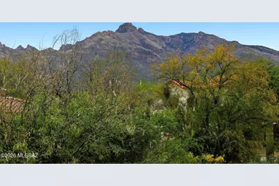461 E Covered Wagon Drive, Tucson, AZ 85704 - Photo 23