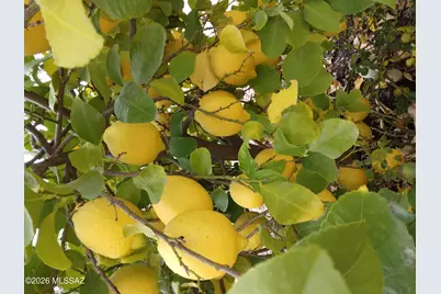 3394 W Crestone Court, Tucson, AZ 85742 - Photo 41