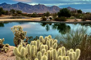814 E Desert Glen Dr, Oro Valley, AZ 85755 - Photo 49