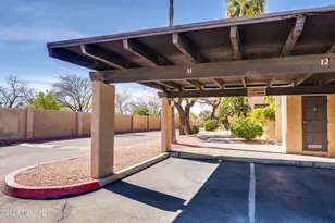 434 N Dodge Blvd, Tucson, AZ 85716 - Photo 49