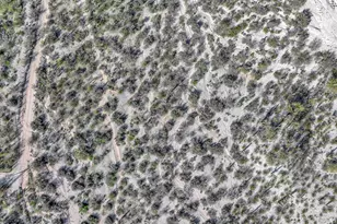 5255 S Perlita Rd, Tucson, AZ 85747 - Photo 41