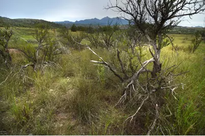 2961 Highway 82 Highway #A, Sonoita, AZ 85637 - Photo 23