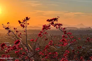 8750 N Glenhurst Pl, Oro Valley, AZ 85704 - Photo 47