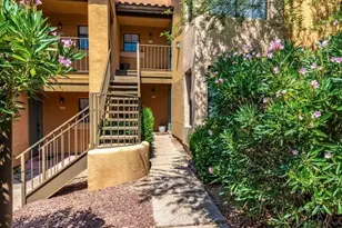 6651 N Campbell Ave, Tucson, AZ 85718 - Photo 27