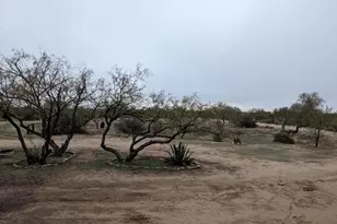 12361 S Cherokee Ln, Tucson, AZ 85736 - Photo 7