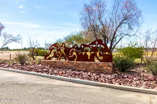 10696 W Chestnut St, Marana, AZ 85653 - Photo 29