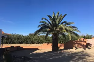 295 W Placita de Los Anillos, Green Valley, AZ 85614 - Photo 21