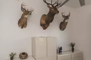 10630 E Northern Crest Dr, Tucson, AZ 85748 - Photo 19