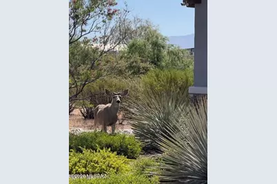 3566 N Molino Canyon Place, Tucson, AZ 85749 - Photo 37