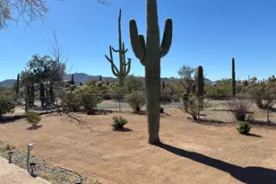 6351 N Bobcat Ln, Tucson, AZ 85743 - Photo 37