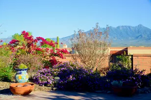 3911 Via Del Tordo, Green Valley, AZ 85622 - Photo 1