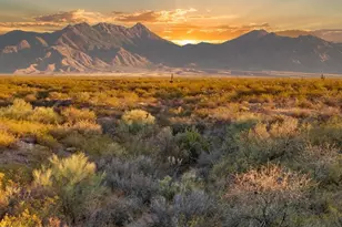 1180 E Madera Estates Ln, Sahuarita, AZ 85629 - Photo 1