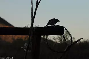17047 S Sierrita Mountain Road S, Tucson, AZ 85736 - Photo 27