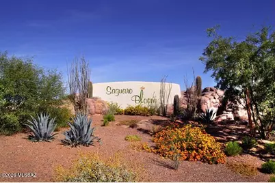 10192 N Leopard Gecko Terrace, Marana, AZ 85653 - Photo 25