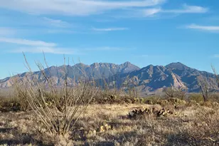 25520 S Via Montana Vista, Green Valley, AZ 85622 - Photo 1