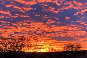 3 Baca Corte, Patagonia, AZ 85624 - Photo 45