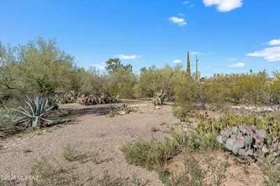 7355 N La Oesta Avenue, Tucson, AZ 85704 - Photo 33