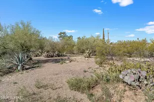 7355 N la Oesta Ave, Tucson, AZ 85704 - Photo 33
